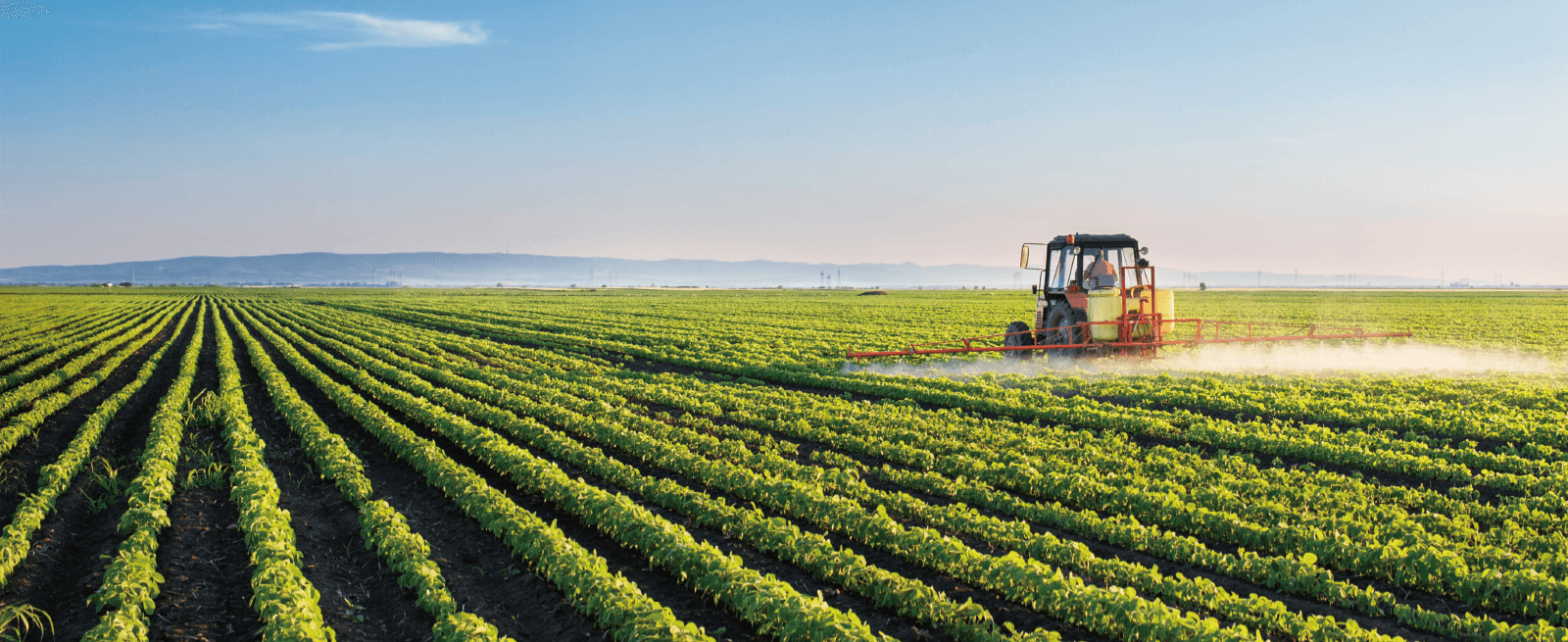 97���ʡ�(�й���)���Źٷ���վ